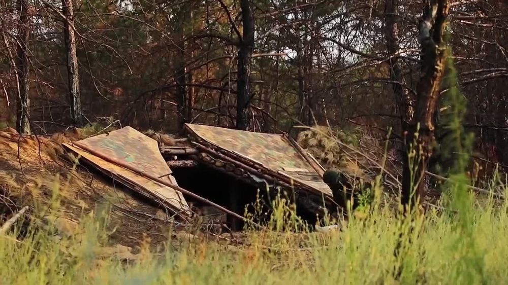 ������������-���������� �������� � ���������� ���������� ������� ��� �� ������������ ������ � ���������� �������