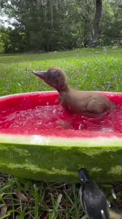 "�������" � �� ���� ��� ����, ��� ���� � ���� ���� �������� ���