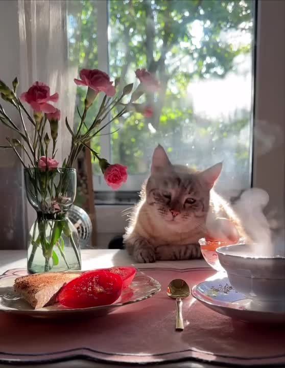 ���, �������� ���, ������ �����, ��������� � �����