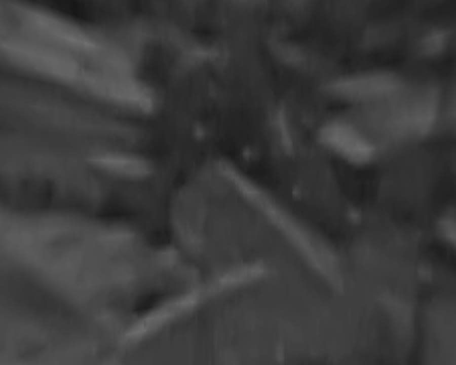 ���� �� �������: ����� �� �����, ������. ���� ��������� ������� ����� �����, ��������� ����������������, �� �������� �� ����...