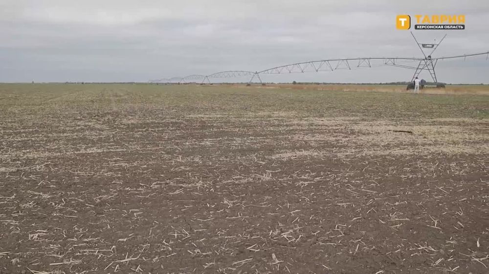 ����� �����������-����������� ��������� � ������������ ������ ��������� � ��������� � �������