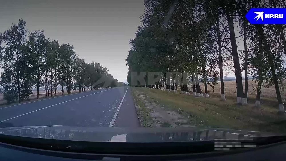 ����� ��������� �����, �� ������� �����, ��� ����������� �������� �������� ������� ����������