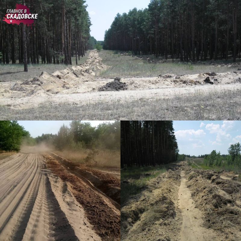 ���������� ����������� ��������������� ��������� �� ���� ��������� ����� 250 ���������� ��������������� �����