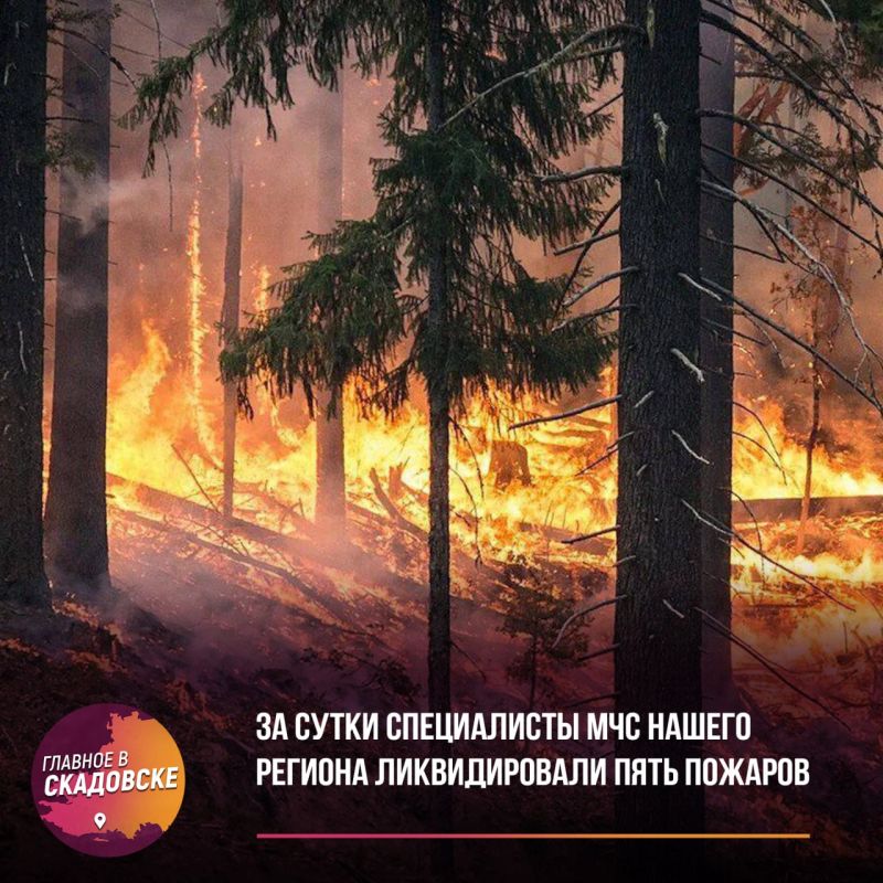 �� ����� ����������� ��� ������ ������� ������������� ���� �������