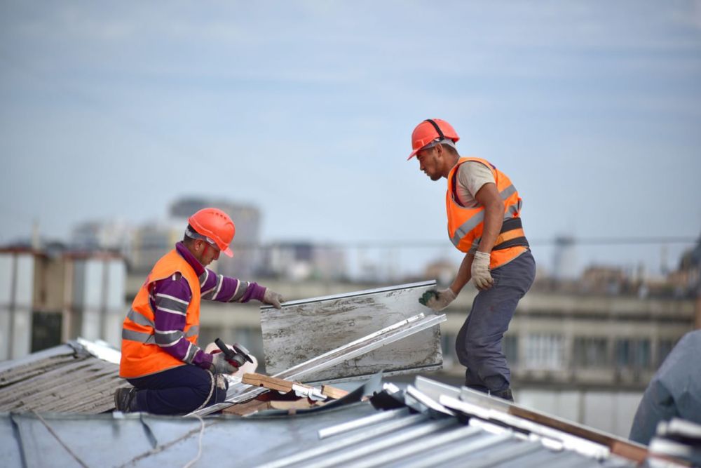 ����� ����������: ���� �������� ���������� �������� �������� �� ������ ����� ��������������� ����� � ���������� �������