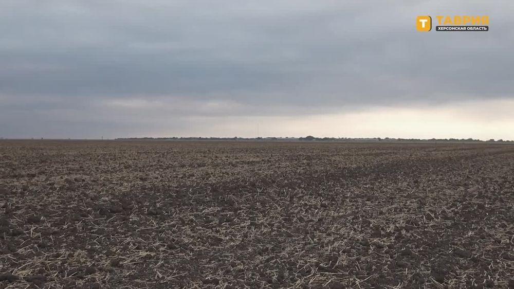 � ������������ ������ �������� ����� ������� ������, ������� ������ ��������