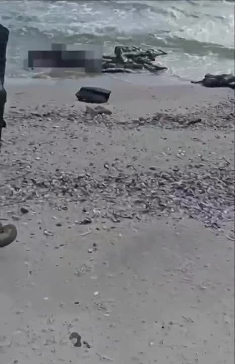 ��� ����� �� ������������ ���� ������������