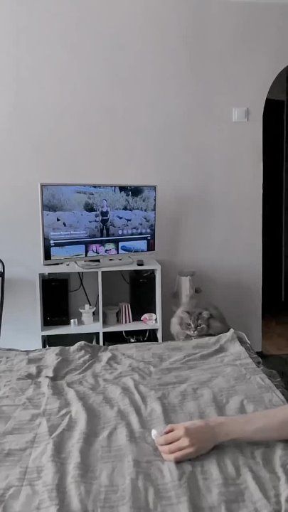 ��������� ����!. ��������-����� ���������� �������