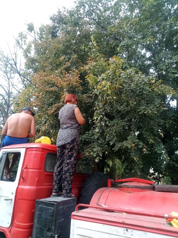 ���������� ���������������� ����������� ����� �������� ���� ����� ���� ��� ����������� �������������