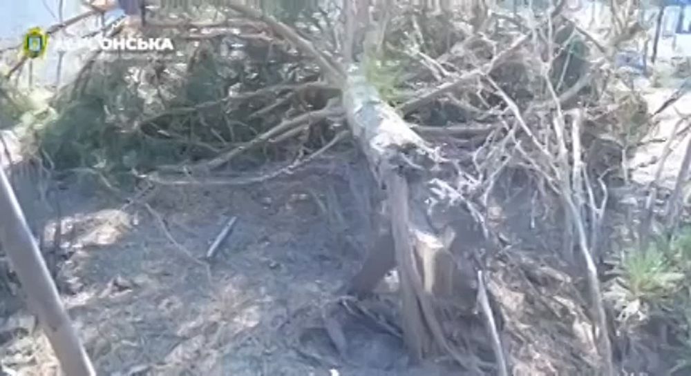 � �� ��� ������.... � ������� � ���������� �������� �������� ���������� ���� �����������������