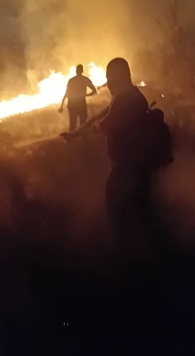 �� ���������� ��������� ����������� ������������� ������� �������� ������ �����