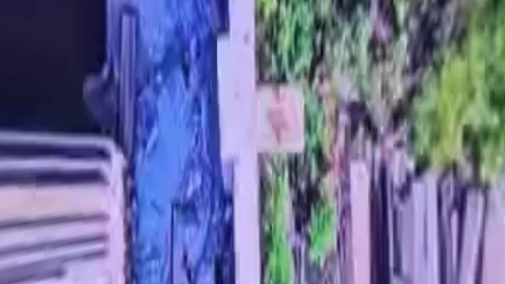 ���� �� �������: ������������� ������� ���, ������� �������� ������� ���������������