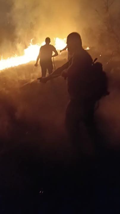 � �������� ����������� ��������� ������ ����� ������� ����� 20 ��������