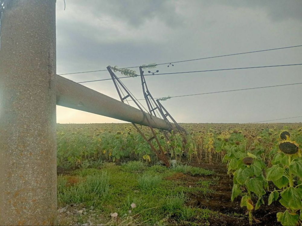 ������ ����������: ��������� ������� ����������� ������������ ���������������� ���������� �������, ���������� ����� ������������ �������������� ����� �� ��������� - �� ��������� �����