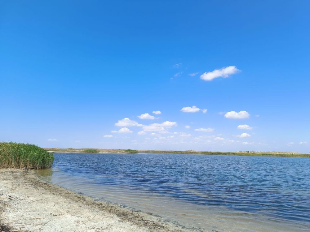 ������ ����, �����������!