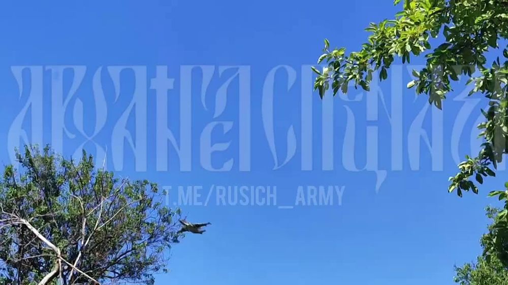 ������� ������� �� 9:00