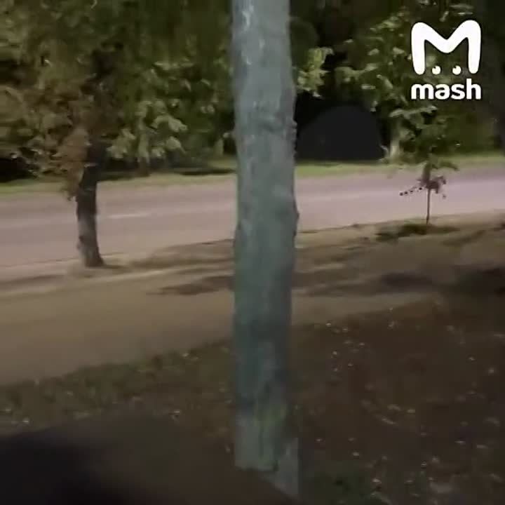 ������ ������� ���������� ������ ������ ��� ��� �������