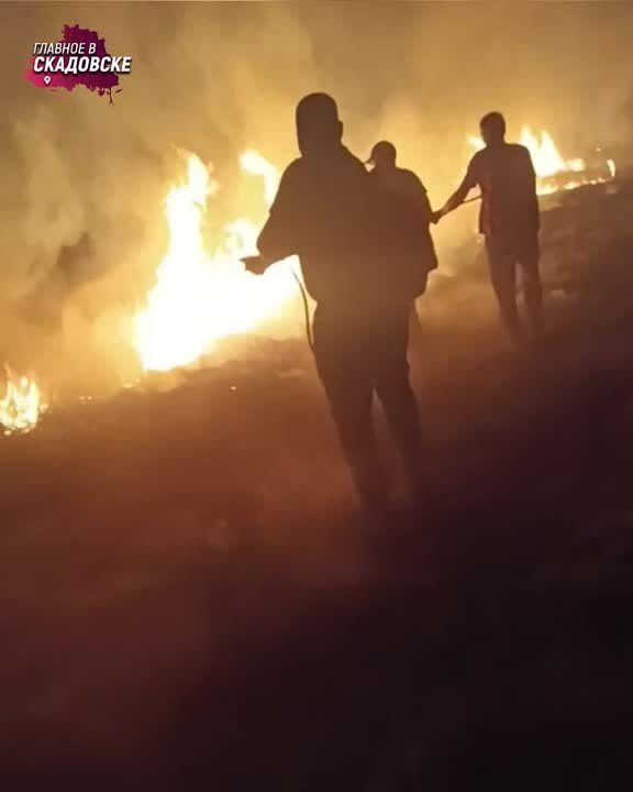 ���������� ��������������� ��������� ������� � ������� �������� � ������������ ������