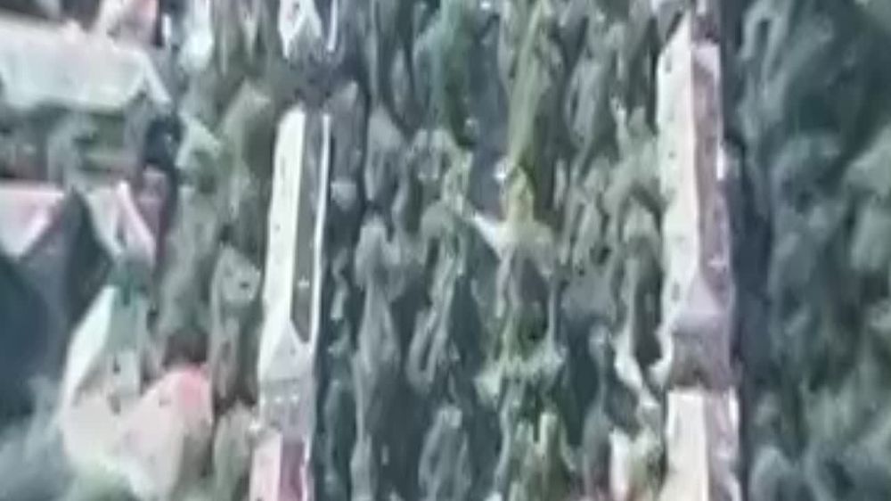 ���� �� �������: �������� - ��� ����� �����