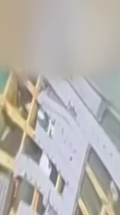 ���� �� �������: ���������� �����, ������