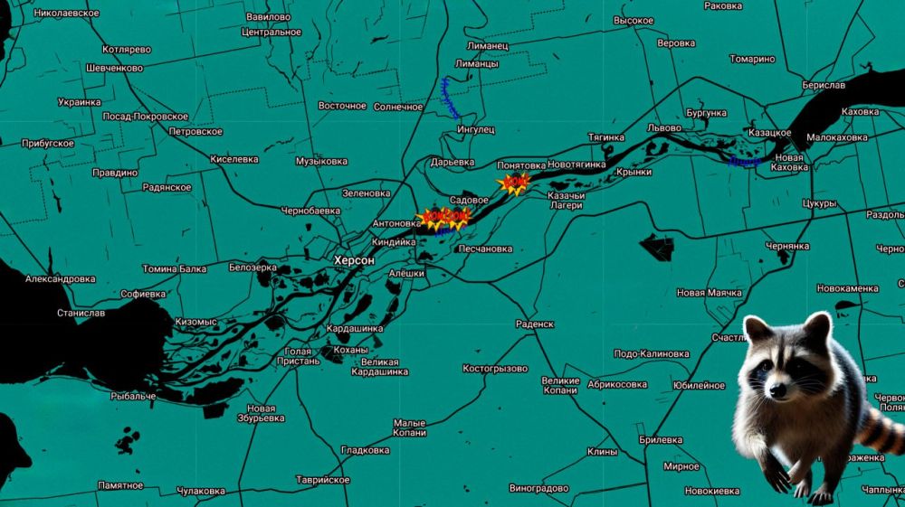 ���� �� �������: ������ ����! ����������� ����������: