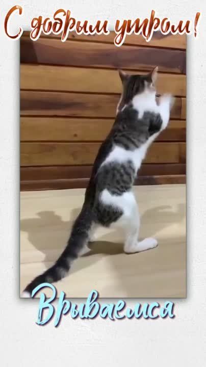 #������������