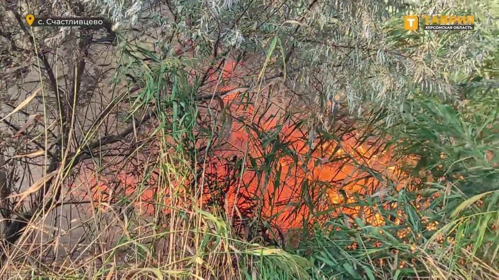 �� ���������� ������� ��������� �����