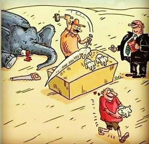 ������� ���� �����. ��� ����� ������� �� ���� ������� (6-7,5 �, 5 �) ���� ����� �� 2 ���� � �����. �� ��������� ����� �...