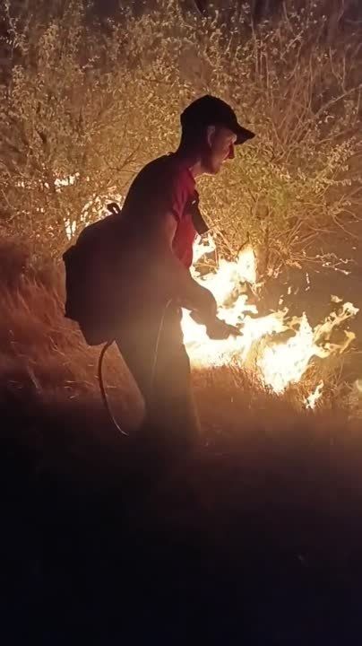 ���������� ��� �� �������������� ��������������� ��������� ����� ������ � ������� ��������