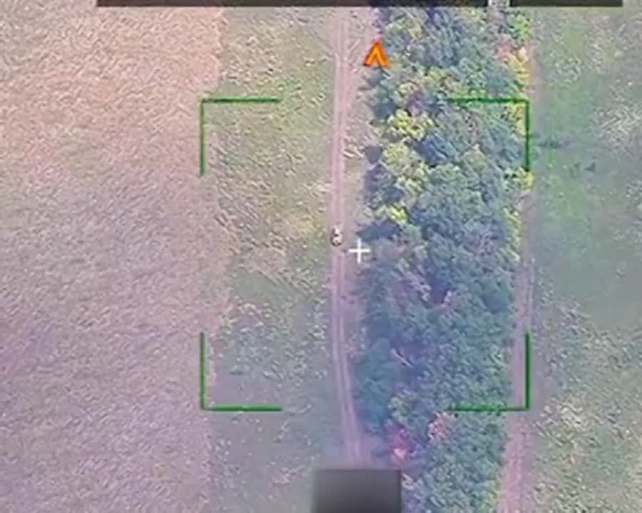 �����-��������� �� 144 ������� ���������� ���������� ��������� ���������� ��� �������