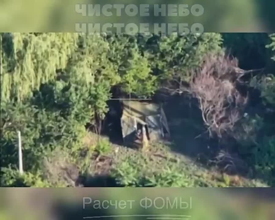 ����������� ��������������� ������ ��� �� ���������� �����������