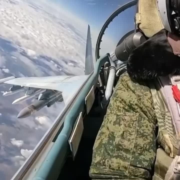 �������, 12 �������, ���������� ���� ������-��������� ��� ������