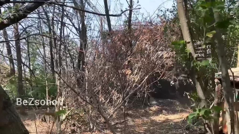 ������ ��������: ���� ������������-���������� � ������ ��������������� ������ �� ��������� ����������� ���������� ���������� ������ ���