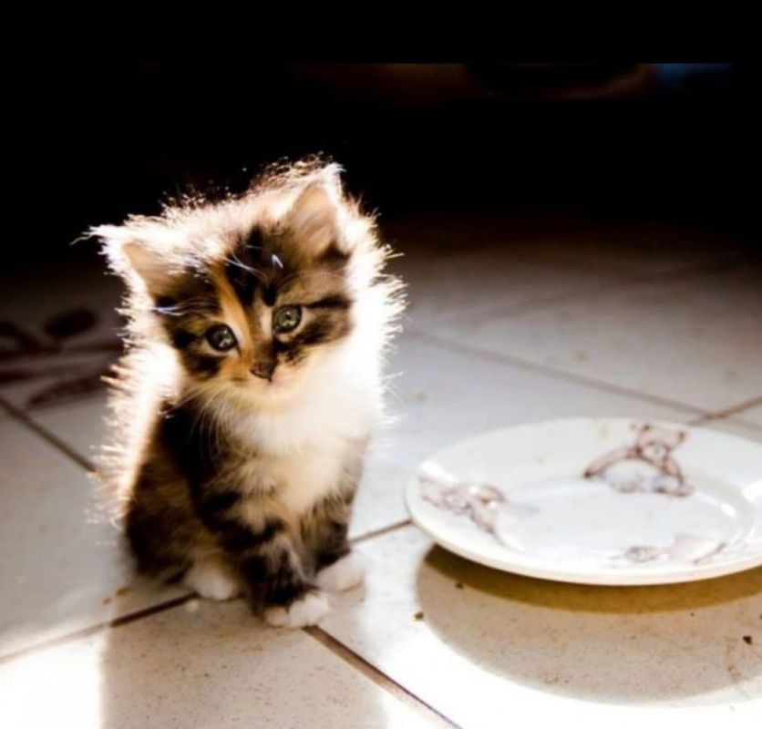 ���? �� ��� �� ������� ������� � ����� ����� �� ����� ����� ��� ��������� ���������?