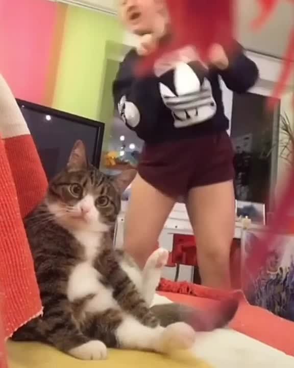 ��������� ����!. ��������-����� ���������� �������