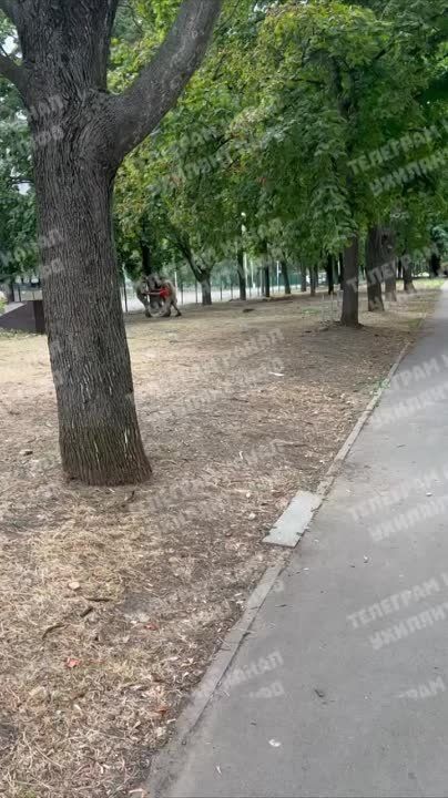 ��������� ����� ����������� "�����������"