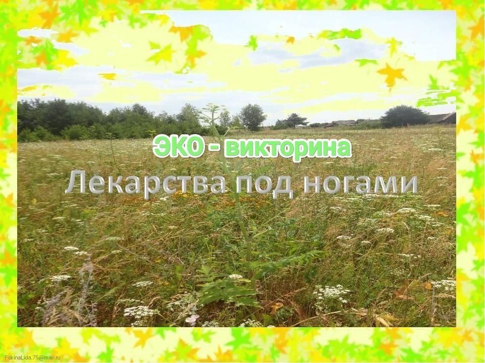 � ��������������� �� ������ ���-��������� �� ���� ���������� ��� ������