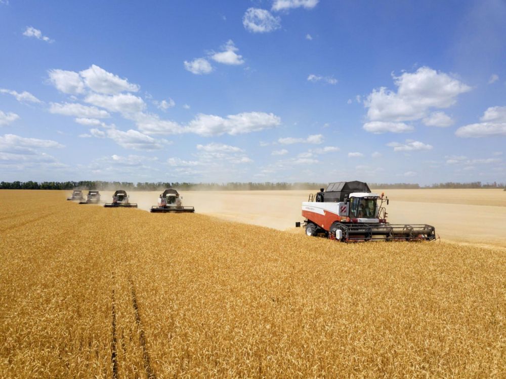 � ���������� ������� ������� ����� �������� ���� �������