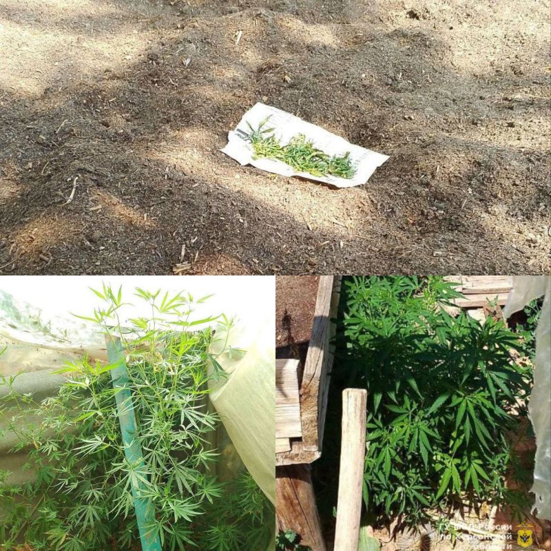 ������ ��������� �������� � ���� � ������� ��������� �������� ������ ������� � �������� ������ � ����������� ���������� ����