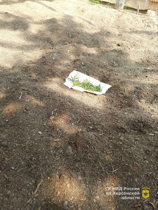 ������ ���������������� ������ ������������� � ��������������� � �������� ������������� ���������