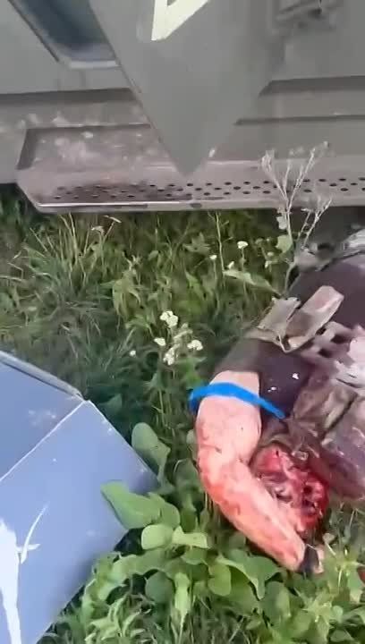 ������� �������.. ��������� ��������� ��������������� Roshel Senator � ������ ������� ���