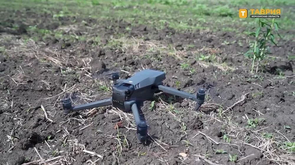 �� ���������� ����������� ��������� ������� ������ �������� ������� ���, ��������� �������������