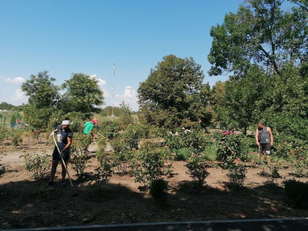 ��� "���������� ������������"���������� ���������������� ���������� ������������� ���������������� ������ ����������� �������������� ������