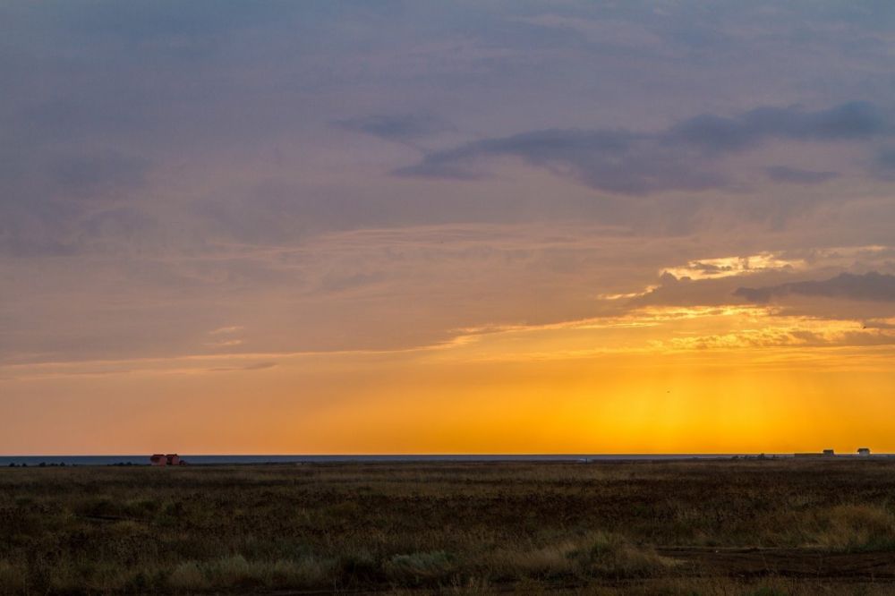 ���� ������� ������, ������!