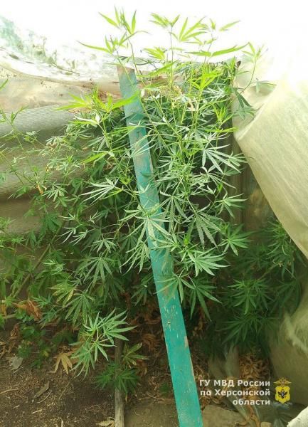 ������ ���������������� ������ ������������� � ��������������� � �������� ������������� ���������