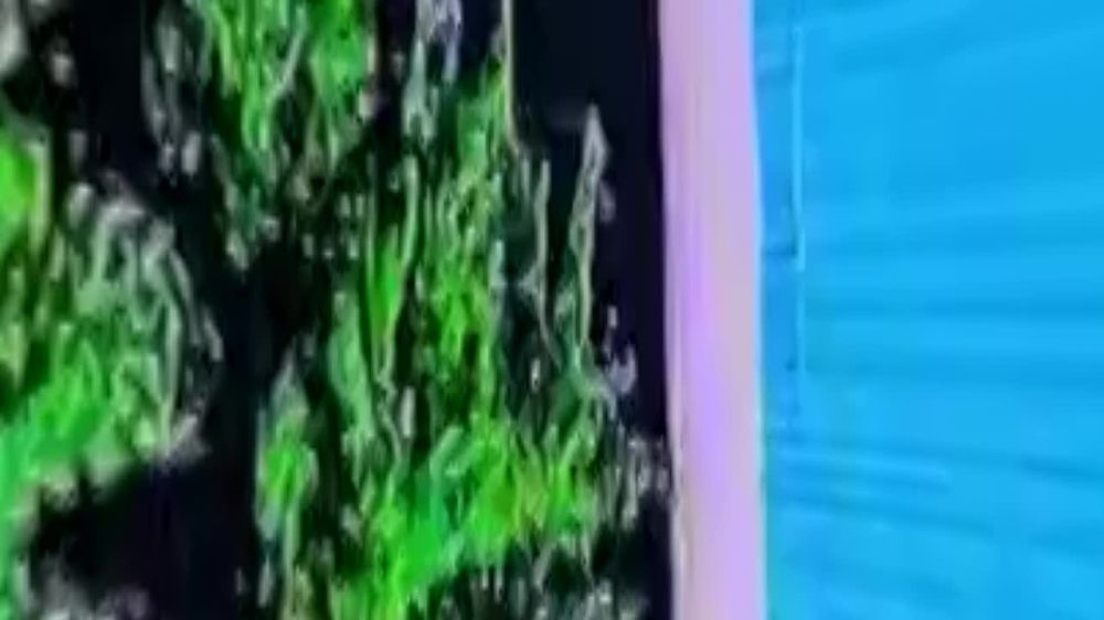 ���� �� �������: ���������� ������� �������� �������