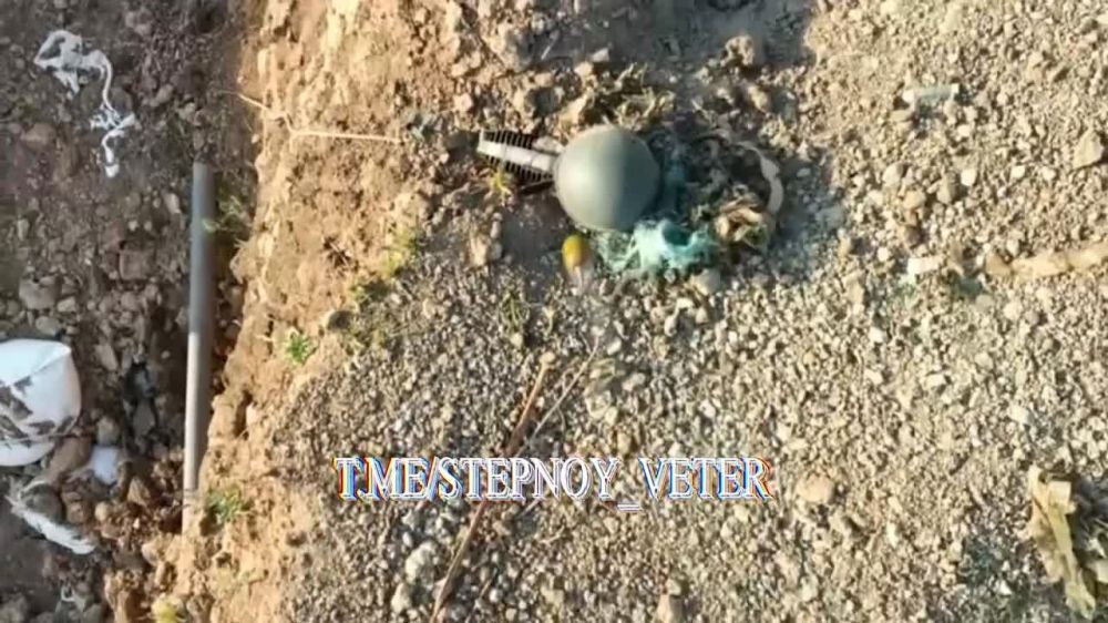 ������������ ����� �������������