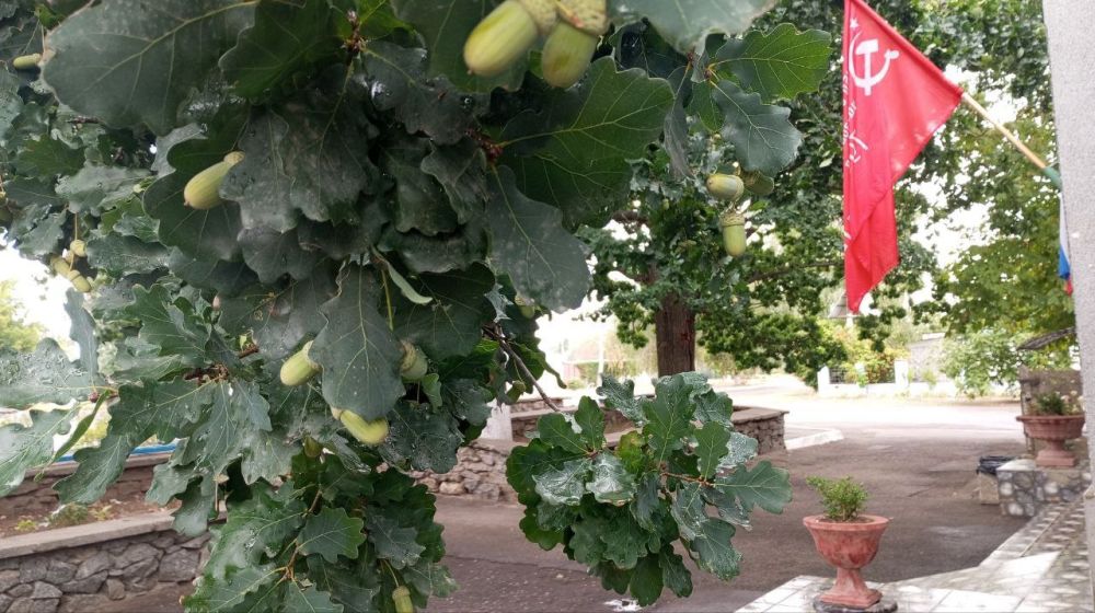 � ������ �����, �����������!