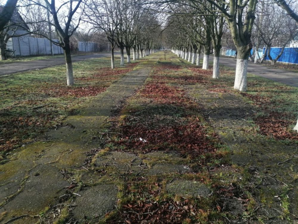 �������� ������ ������ � �������� ���� � ���������� ������ ���������