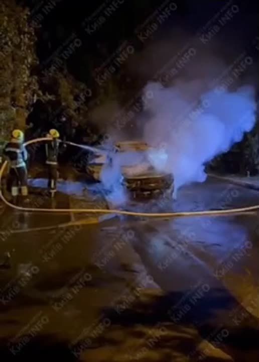 � ����� ����� ����� �������� ����������